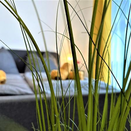 Gemuetliches Studio Im Bayerwald +Pool +Sauna +Wifi Zwiesel Εξωτερικό φωτογραφία