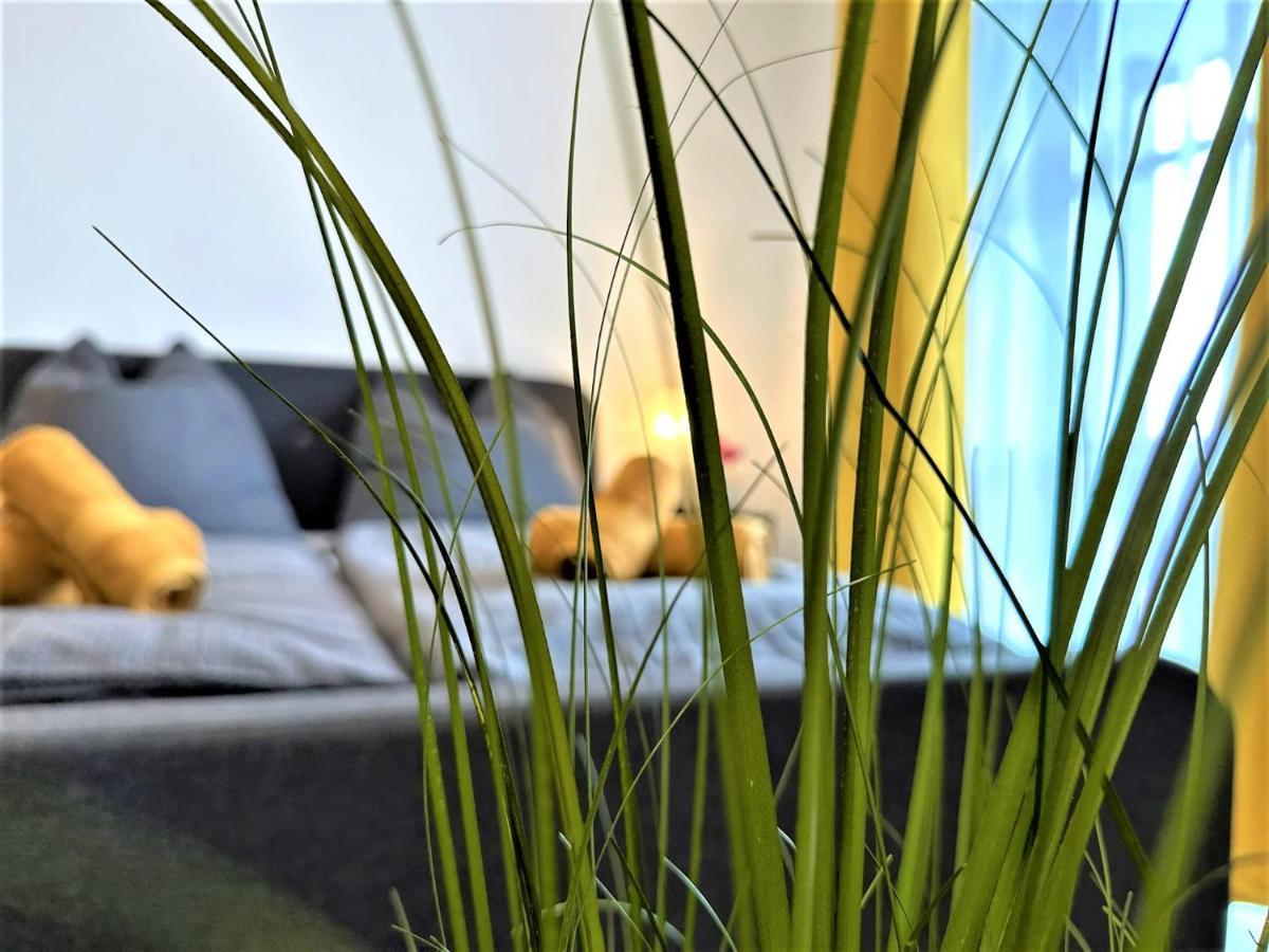 Gemuetliches Studio Im Bayerwald +Pool +Sauna +Wifi Zwiesel Εξωτερικό φωτογραφία